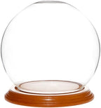 Plymor 5" x 6" Glass Display Dome Globe Cloche (Oak Veneer Base) by Plymor