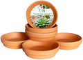 7.5 Inch Terracotta Plant Saucer - 6 Pcs Large Terra Cotta Saucer for Indoor & Outdoor Plants, Plant Drip Trays Perfect for 6 Inch 6.5 Inch Flower Pots by Unknown