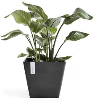 Ecopots Rotterdam Square Flower Planter, Dark Grey, 12" - Image 4