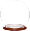 Plymor 7.5" x 8.5" Glass Display Dome Globe Cloche (Walnut Veneer Base) by Plymor