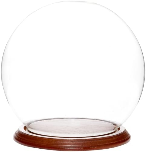 Plymor 7.5" x 8.5" Glass Display Dome Globe Cloche (Walnut Veneer Base) by Plymor