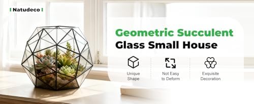 Glass Flower Pots Geometric Terrarium Planter Container Air Plant Display Air Plant Containers for Succulents Balcony Tabletop Miniature Fairy Garden Modern Decor Terrarium Large - Image 6
