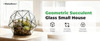 Glass Flower Pots Geometric Terrarium Planter Container Air Plant Display Air Plant Containers for Succulents Balcony Tabletop Miniature Fairy Garden Modern Decor Terrarium Large - Image 6