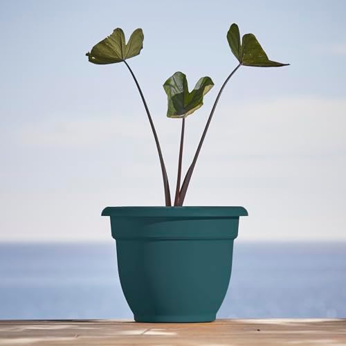 Bloem Ariana 12" Plastic Self-Watering Planter, Charleston Green, 2-Pack - Image 2