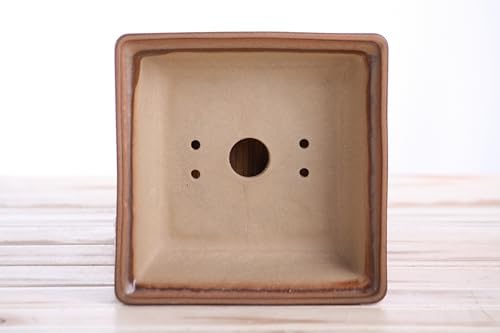 Willow Bonsai Ceramics Square Bonsai Pot 6 Inch – Low‑Profile Square Ceramic Bonsai & Succulent Pot with Accentuated Rim, High‑Fired Frost‑Proof Stoneware, Handmade in USA (Deep Stone, 6inch) - Image 5
