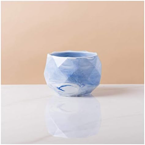 Flower Pot Ceramic Flower Planter Pots with Drain Hole Marble Pattern Modern Succulents Containers for Home Decor Indoor Flower Plant Pots Gardening Containers，Blu-C by Unknown