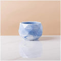 Flower Pot Ceramic Flower Planter Pots with Drain Hole Marble Pattern Modern Succulents Containers for Home Decor Indoor Flower Plant Pots Gardening Containers，Blu-C by Unknown
