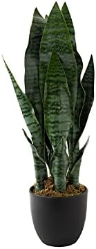 Royal Imports Sansevieria Leaf Snake Plant Artificial Plants Indoor 19"Tall by RoyalImports
