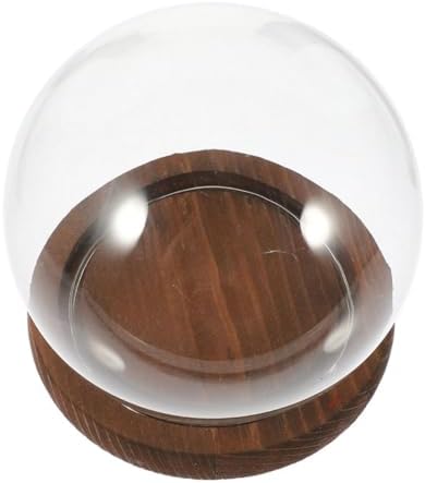 DECHOUS Clear Glass Cloche Dome with Wooden Base for Plants Terrarium Display Elegant Keepsake Globe for Preserved Flowers Dust Protection for Home Decor by DECHOUS
