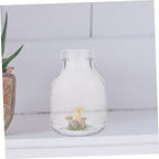 3pcs Glass Mushroom Growth Jar with Lid 650ml Xmas - Image 2