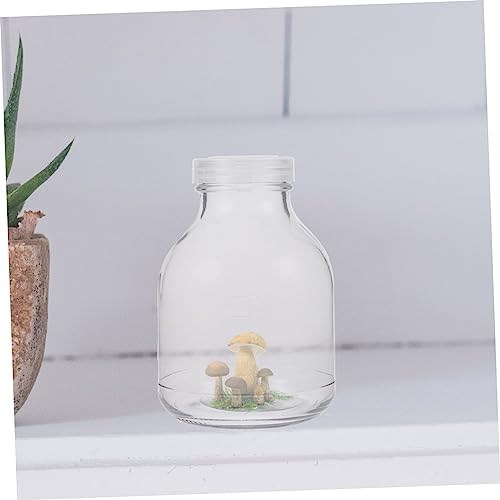 3pcs Glass Mushroom Growth Jar with Lid 650ml Xmas - Image 2