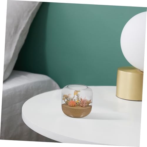 Glass Hydroponic Plant Terrarium for Succulents and Fish - Image 7