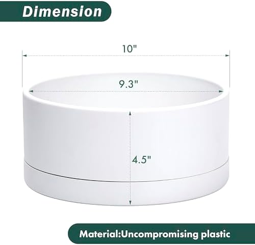 D'vine Dev 10 in Shallow Round Succulent Planter, White, 76-Z-A-2 - Image 2
