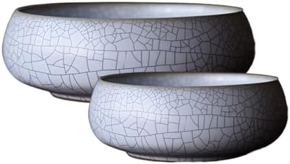 Lotus Bowl Planter 2 Pack, 7.5in & 6.5in, Shallow Vase by Unknown