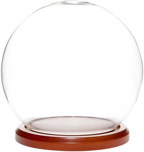 Plymor 6" x 7" Glass Display Dome Globe Cloche (Walnut MDF Base) by Plymor