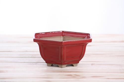Willow Bonsai Ceramics Hexagonal Windowed Semi-Cascade Bonsai Pot, 5inch, Plant Container, Succulant Pot, High Fired Ceramic Stoneware, Frost Proof (Red) - Image 3