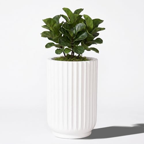 20" Tall Indoor Outdoor Planter, Modern Fluted Big Round Plant Pot ,White by TerraDecoOutdoorPlanters