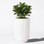 20" Tall Indoor Outdoor Planter, Modern Fluted Big Round Plant Pot ,White by TerraDecoOutdoorPlanters