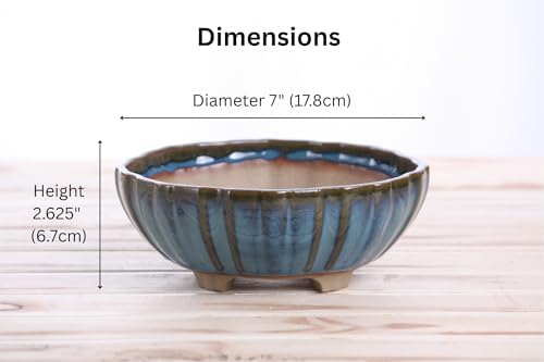 Willow Bonsai Ceramics Lily Bonsai Pot 7 Inch – Sculpted Rounded Ceramic Bonsai & Succulent Planter with Wavy Profile, High‑Fired Frost‑Proof Stoneware, Handmade in USA (Peacock, 7inch) - Image 4