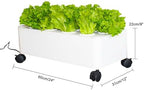 Hydroponics Garden,Indoor Vertical Farming Garden Planter, Smart Herb Garden with Timing Plug Automatic Watering for Home Indoor Gardening System(Without Light,1 Layer) - Image 2