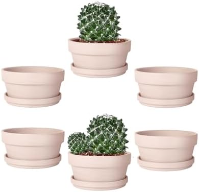 vensovo 5.7 Inch Pink Terracotta Succulent Pots with Saucers, 6 Pack by vensovo