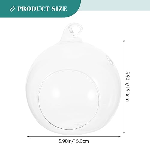 2pcs Globe Hanging Terrarium Glass Flower Plant Display for Patio - Image 2