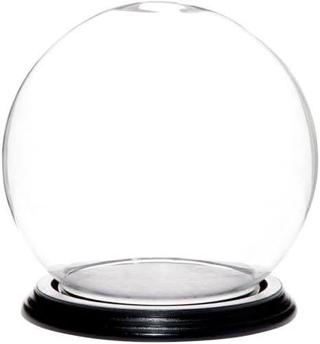 Plymor 6" x 7" Glass Display Dome Globe Cloche (Black Wood Veneer Base), Pack of 8 by Plymor