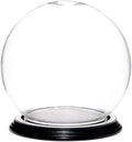 Plymor 6" x 7" Glass Display Dome Globe Cloche (Black Wood Veneer Base), Pack of 8 by Plymor