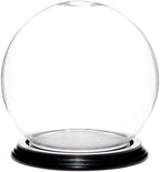Plymor 6" x 7" Glass Display Dome Globe Cloche (Black Wood Veneer Base), Pack of 8 by Plymor