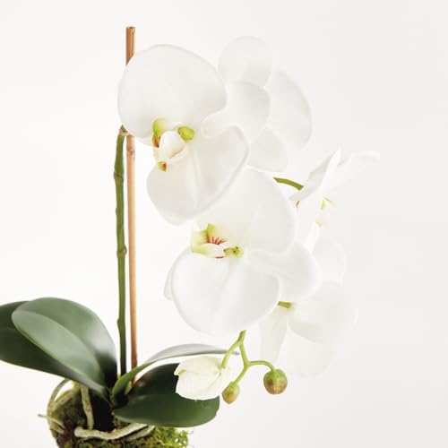 Napa Home & Garden, PHALAENOPSIS Drop-in 21" - Image 4