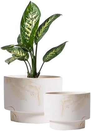 Olly & Rose White with Beige Streaks Ceramic Plant Pot Set 2-16.5,13.5cm Medium Plant Pots Outdoor and Indoor - White Planters - Flower Pots by OllyRoseEngland