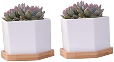 BESPORTBLE White Hexagonal Ceramic Succulent Pots, 2 Sets with Bamboo Tray - Image 5
