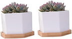 BESPORTBLE White Hexagonal Ceramic Succulent Pots, 2 Sets with Bamboo Tray - Image 5
