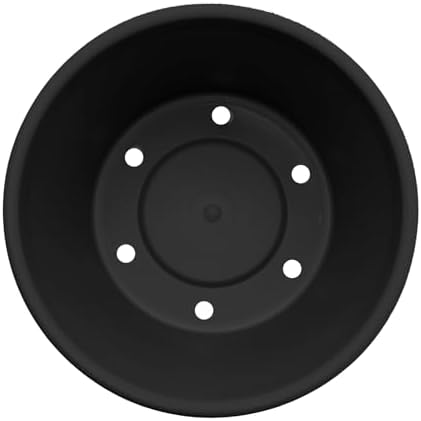 Bloem Terra 10" Plastic Planter, 2 Gallon, Black, 6-Pack - Image 5