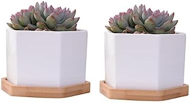 Outanaya Medium Ceramic Succulent Pots Set of 2 with Bamboo Tray Hexagonal Cactus Planter for Home Decor Drainage Design for Potted Plants - Image 4