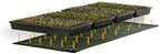 SunBlaster Super Germination Station, Trays, Heat Mat & 2 in Domes - Image 2