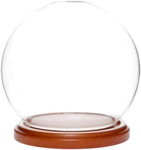 Plymor 5" x 6" Glass Display Dome Globe Cloche (Walnut MDF Base), Pack of 6 by Plymor