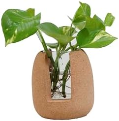 Natural Cork Oval Propagation Planter with Glass Vase by CorkEssentials