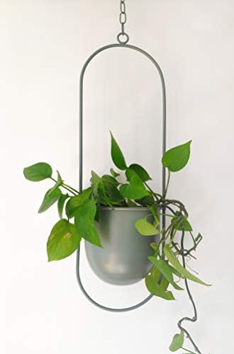RISEON Boho Green Metal Plant Hanger,Metal Wall and Ceiling Hanging Planter, Modern Planter, Mid Century Flower Pot Plant Holder, Minimalist Planter for Indoor Outdoor Home Decor by RISEON