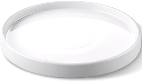 Ceramic Plant Saucer 10.5 Inch 1 Pack White, Fits Pot Base Under 10 Inch by saffruff