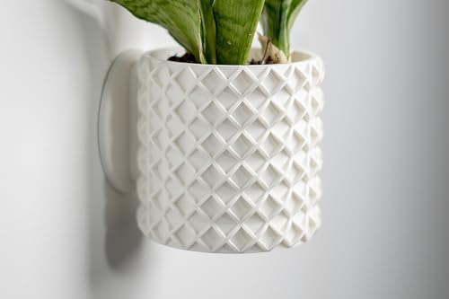 Modern Wall Planter for Indoor Plants (Matte Terracota, Medium) by Unknown