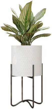 EverNest Claire Mid-Century Modern White Plant Pot with Ambrose Stand, SelectBase, Indoor Plant Pot, Bohemian Style, Minimalist Plant Home Décor (Medium, Black) by EverNest