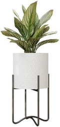 EverNest Claire Mid-Century Modern White Plant Pot with Ambrose Stand, SelectBase, Indoor Plant Pot, Bohemian Style, Minimalist Plant Home Décor (Medium, Black) by EverNest