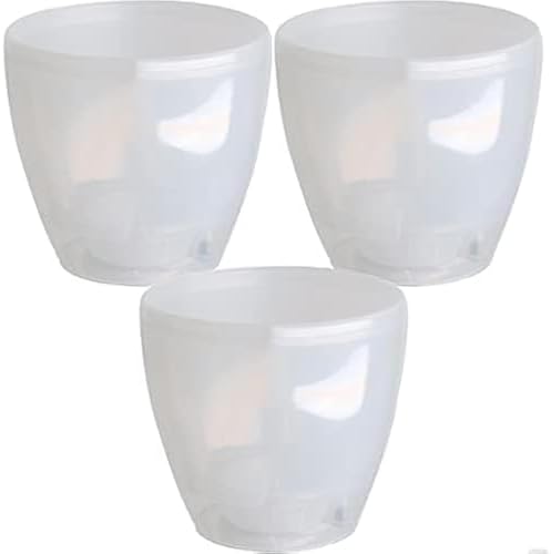 DECOPOTS - 3 Pack Self Watering Planter - Indoor Decorative Flower Pot with Drainage Cartridge and Water Level Indicator (5.5", Transparent) by DecoPots-SelfWateringPots