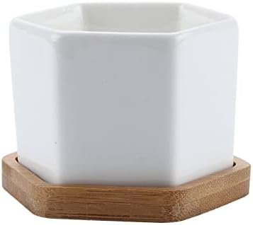 HASMI Plant pots Set of 2 Hexagon Ceramic Flower Pot for Cactus Succulent Plants Tray Planter Home Garden Decoration (2 pots + 2 Trays) Flower Pots - Image 4