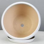 PAYAER Modern White Ceramic Plant Pot Set, Round Indoor/Outdoor Flower Pots with Saucers, Decorative Plant Container for Cactus, Succulents, Garden, Balcony, and Office Decor(25CM) - Image 6