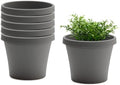 Bloem Terra 10" Plastic Planter, 2 Gallon, Charcoal, 6-Pack by Bloem