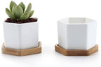 HASMI Plant pots Set of 2 Hexagon Ceramic Flower Pot for Cactus Succulent Plants Tray Planter Home Garden Decoration (2 pots + 2 Trays) Flower Pots - Image 3
