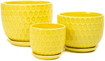 Yellow Ceramic Flower Pots with Saucers, Modern Round Ceramic Succulent Plant Pots with Honeycomb Inspired Texture Design, Small to Medium Sized, Set of 3 - Image 4