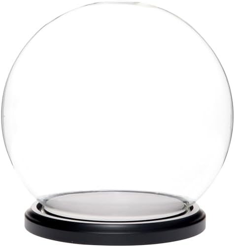 Plymor 7.5" x 8.5" Glass Display Dome Globe Cloche (Black MDF Wood Base), Pack of 4 by Plymor